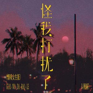 怪我打扰了（烟嗓女生版）