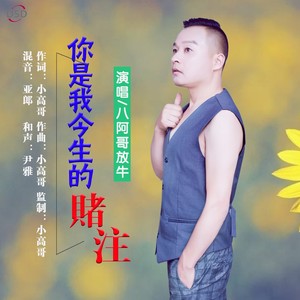 歌词复制你是我今生的赌注 八阿哥放牛词:小高哥