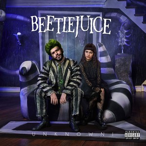 beetlejuice最强大脑图片