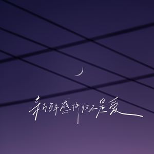 新鲜感终归不是爱