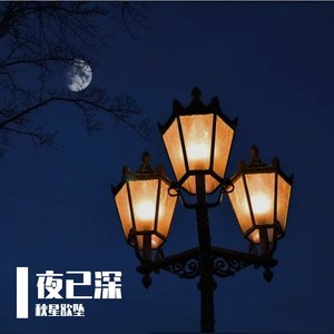 夜已深