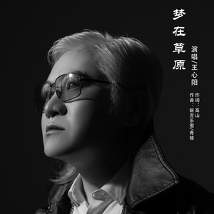 王心阳流派:pop流行语种:国语发行时间:2021-03-22唱片公司:北京吉瑞