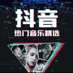 抖音热门音乐精选