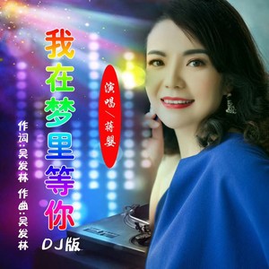 我在梦里等你dj版