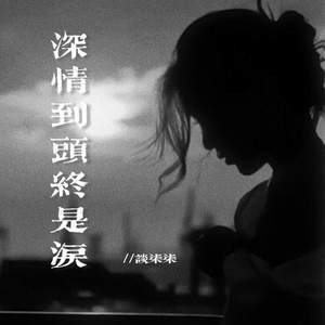 深情到头终是泪