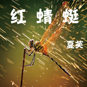 嶽可專輯:紅蜻蜓語種:純音樂流派:pop唱片公司:武漢海醞文化有限公司