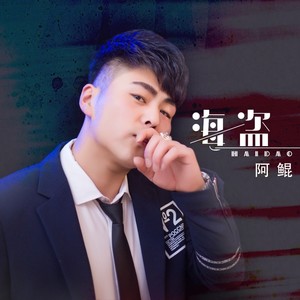 海盗(伴奏 阿鲲 qq音乐-千万正版音乐海量无损曲库新歌热歌天天