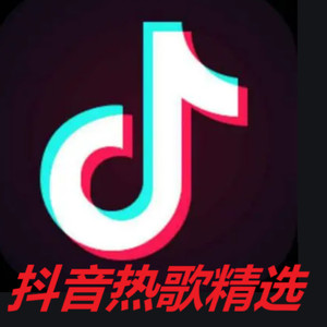 抖音最火热歌精选