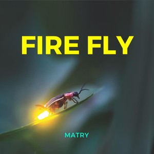 fire fly - qq音樂-千萬正版音樂海量無損曲庫新歌熱歌天天暢聽的高品