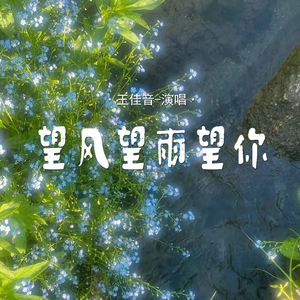 望风望雨望你