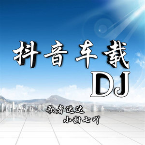 抖音車載dj - 歌者達達/小甜七吖 - qq音樂-千萬正版音樂海量無損曲庫