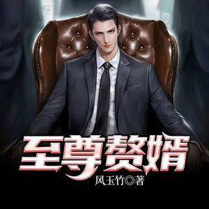 至尊赘婿