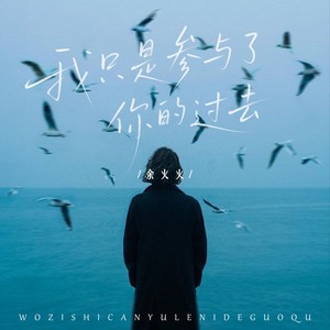 我只是参与了你的过去