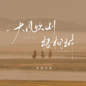 大风吹倒梧桐树（DJ默涵版）
