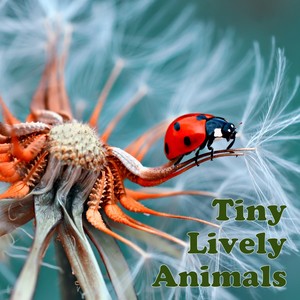 tinylivelyanimalsvol1