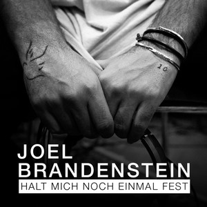 fest播放添加到歌單分享joel brandenstein/vladimir titenkov/nino