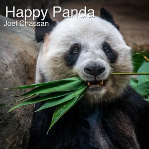 happy panda - qq音樂-千萬正版音樂海量無損曲庫新歌熱歌天天暢聽的