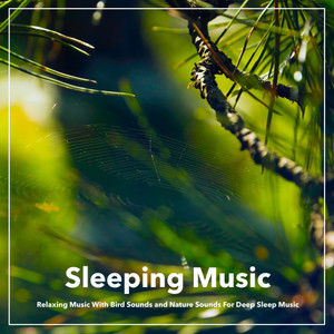 collective專輯:sleeping music: relaxing music with bird sounds