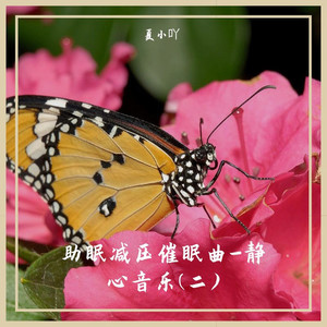 睡前音樂 (催眠曲) - 夏小吖 - qq音樂-千萬正版音樂海量無損曲庫新歌