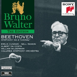 Symphony No. 9 in D Minor, Op. 125 "Choral" - I. Allegro ma non troppo, un poco maestoso (D小调第9号交响曲,作品125“合唱” - 第一乐章 不过分的快板,稍稍庄严的)
