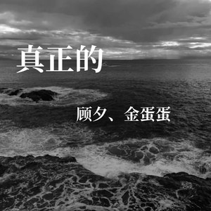 歌詞複製真正的 - 顧夕/金蛋蛋詞:顧夕曲:顧夕編曲:你的老貓你不是