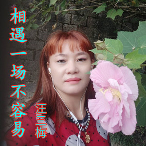 相遇一场不容易