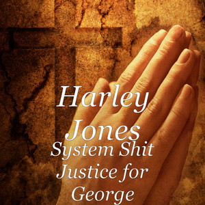 harley jones專輯:system shit justice for george (explicit)語種