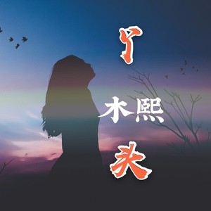 歌詞複製丫頭 - 木熙詞:木熙曲:木熙策劃:木熙母帶:海寶編輯:歌者孤寒