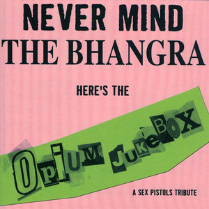 nevermindthebhangraunreleased