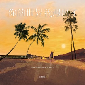 你的世界我退出了