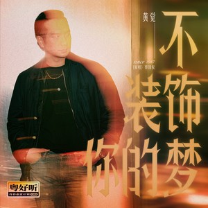 不装饰你的梦