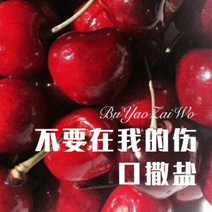 美人媚娘专辑:不要在我的伤口撒盐语种:纯音乐流派:pop发行时间:2020