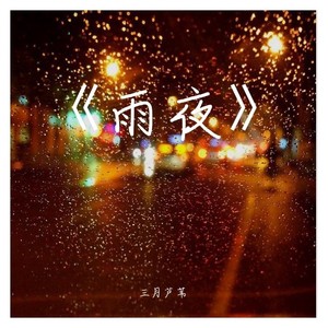 雨夜