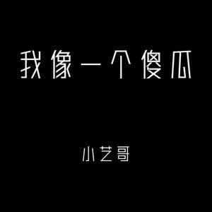 我就像个傻子一样图片图片