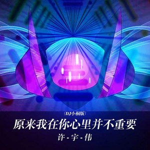 原来我在你心里并不重要dj小桐版