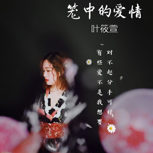 笼中的爱情 叶筱萱 qq音乐-千万正版音乐海量无损曲库新歌热歌