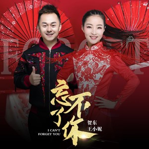 忘不了你 - 贺东/王小妮 - qq音乐-千万正版音乐海量无损曲库新歌热歌