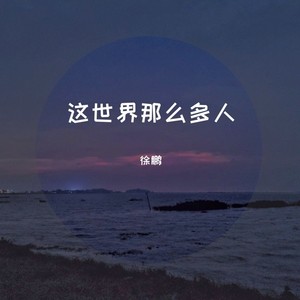 这世界那么多人 qq音乐-千万正版音乐海量无损曲库新歌热歌天天畅听