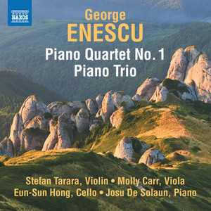 Piano Quartet No. 1 in D Major, Op. 16 - I. Allegro moderato