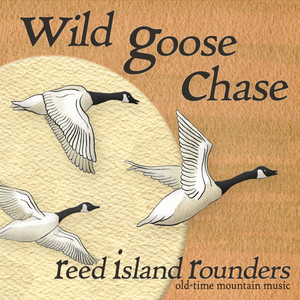 wildgoosechase