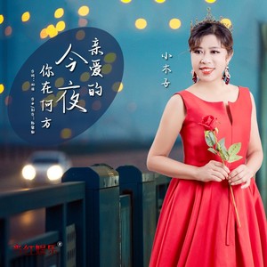 亲爱的今夜你在何方伴奏