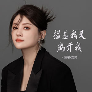 招惹我又离开我