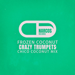 frozen coconut (chico coconut mix)