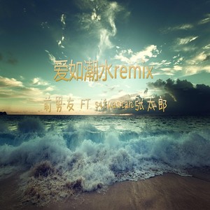 愛如潮水remix