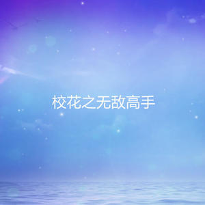 校花之无敌高手
