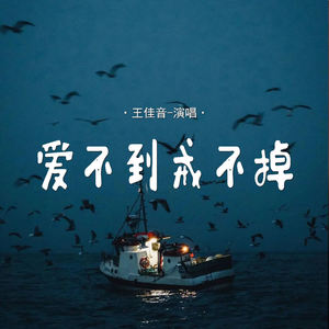 爱不到戒不掉