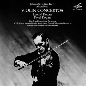 Violin Concerto - I. Andante - Allegretto