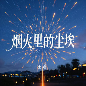 烟火里的尘埃(男声烟嗓版)