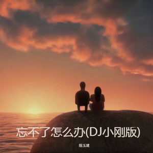 忘不了怎么办(DJ小刚版)