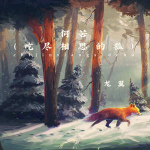 何苦 (吃尽相思的狐)